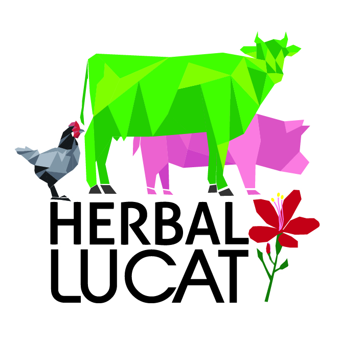 Logo Herbalucat